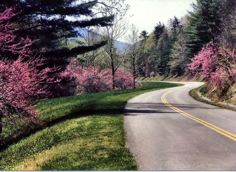 10 - Yol Resimleri (2. Katalog) Yol Resimleri (2. Katalog)