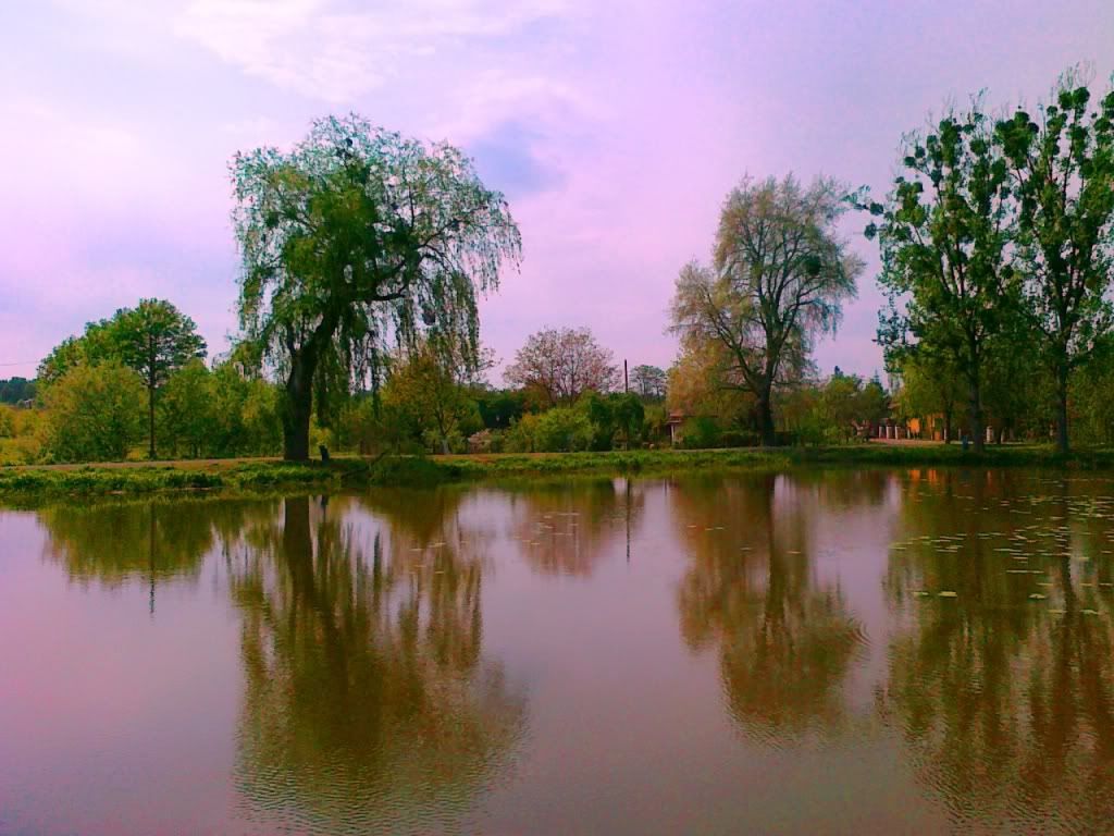 Doa ve Manzara Resimleri (5. Katalog)