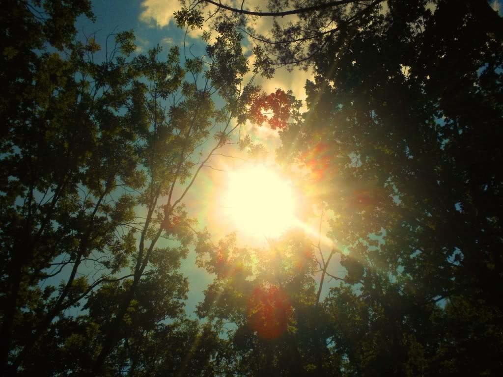 Gne Resimleri (1. Katalog)