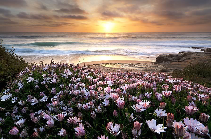 292112 345298365515871 2045736979 n