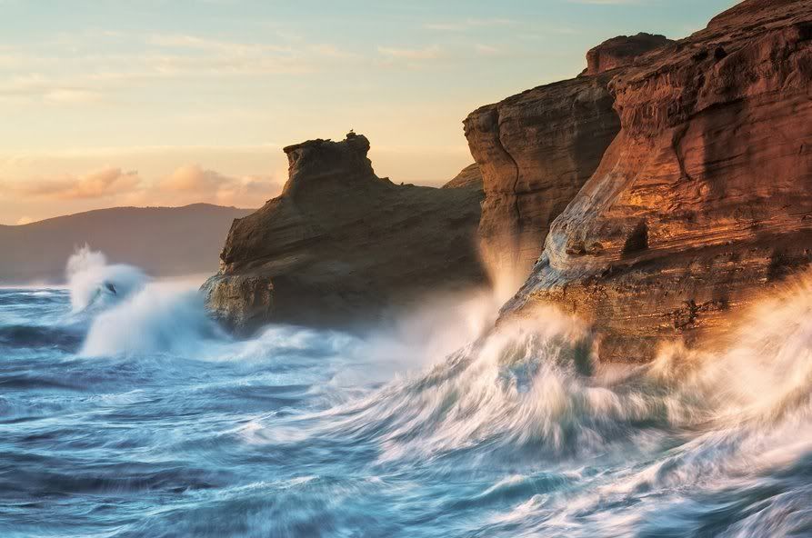 533253 349355805110127 72239459 n