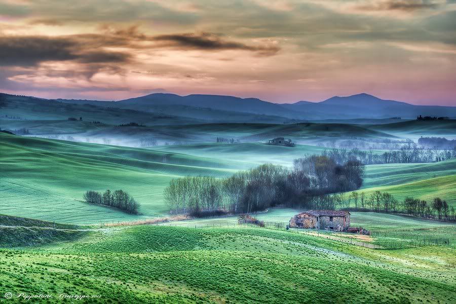 559388 356170311095343 231607340218308 972769 1149394735 n