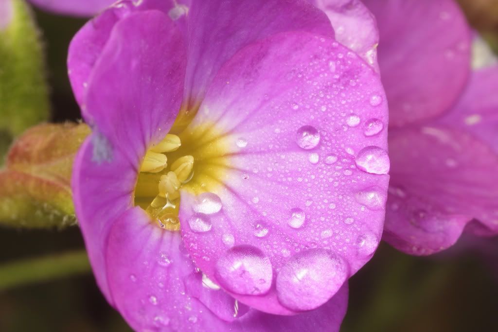 6955621012 0ebd8d50ea b