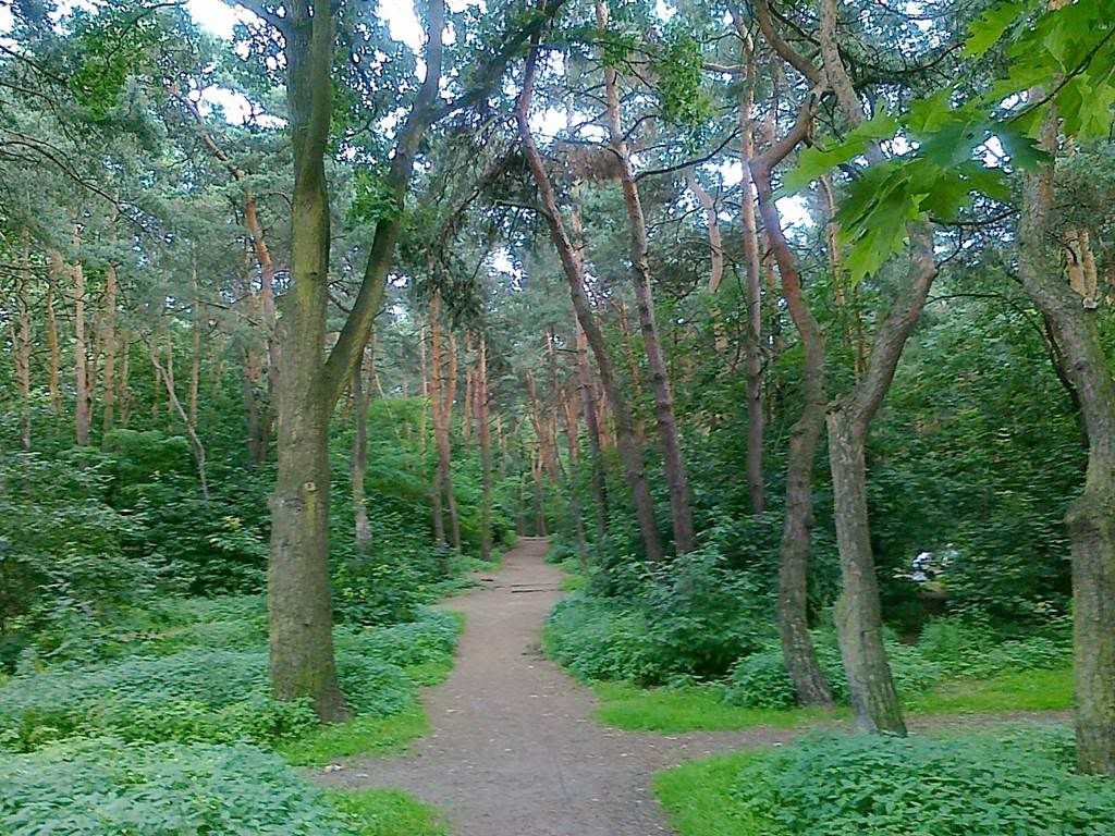 88765 - Yol Resimleri (2. Katalog) Yol Resimleri (2. Katalog)