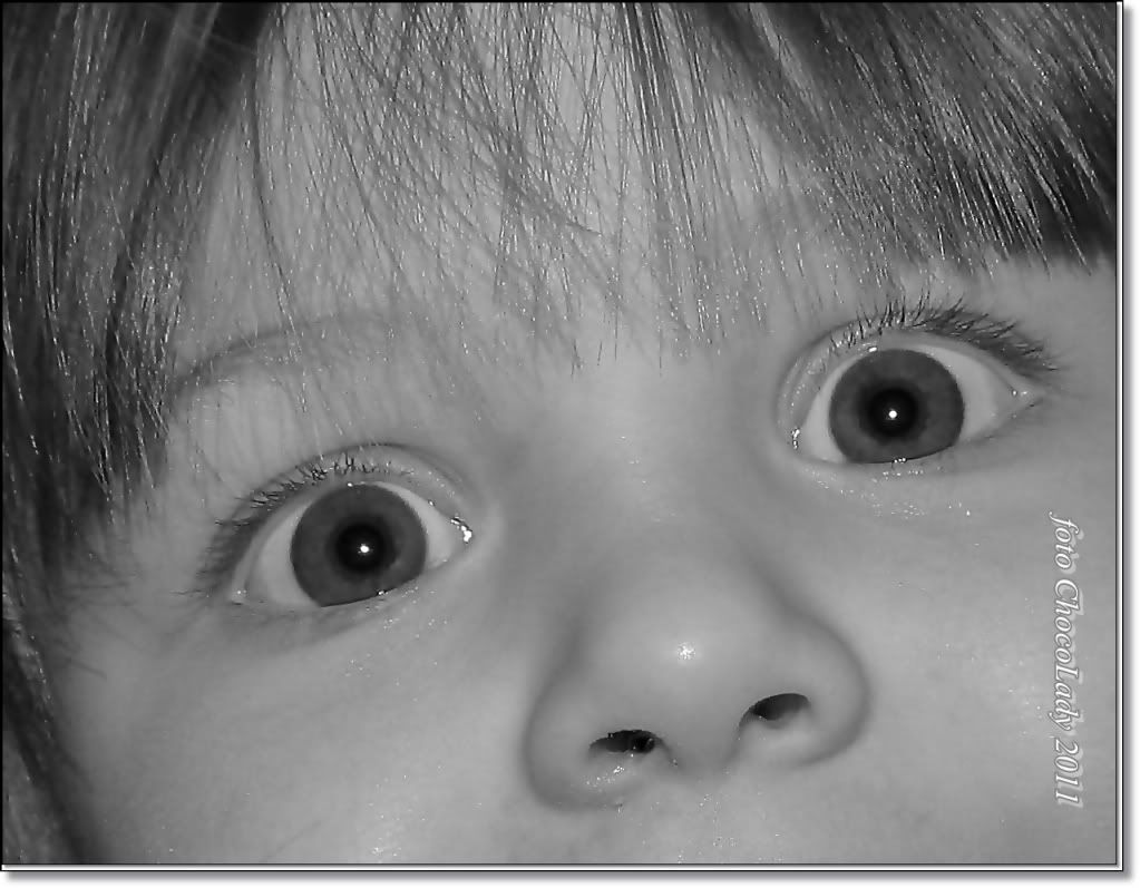 Gz Resimleri (6. Katalog)