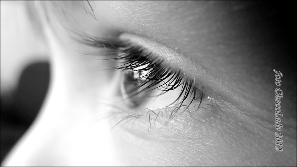 Gz Resimleri (6. Katalog)