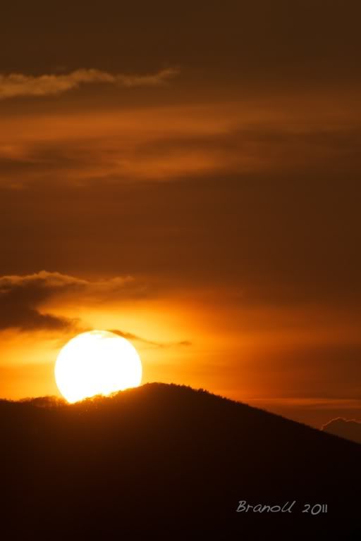 Gne Resimleri (1. Katalog)