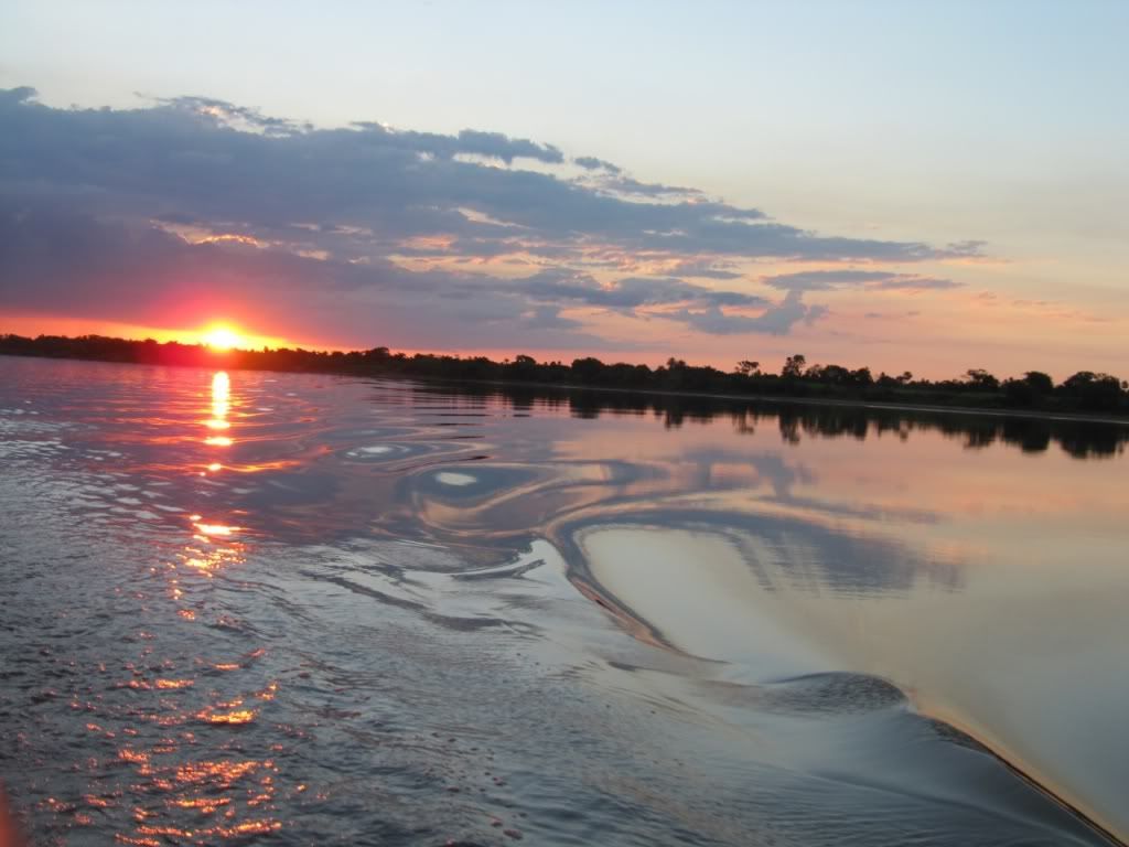 Gne Resimleri (1. Katalog)