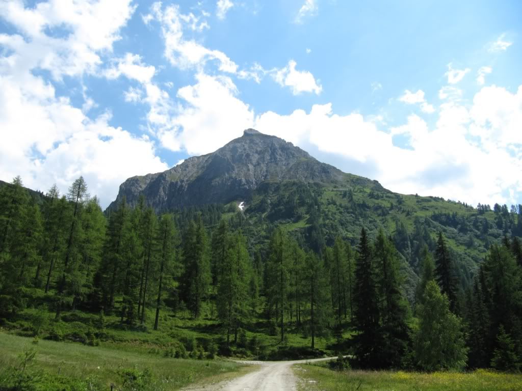 A�a� Resimleri (4. Katalog)