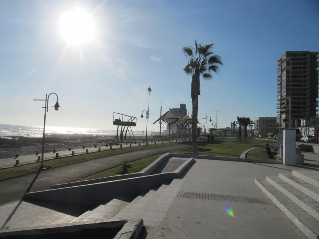 Gne Resimleri (1. Katalog)