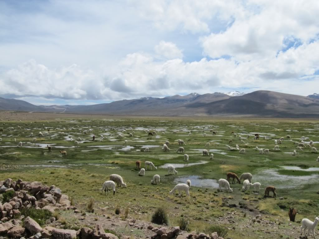 Bulut Resimleri (2. Katalog)