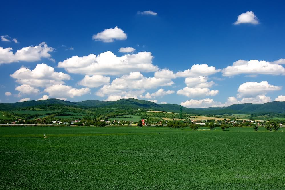 Bulut Resimleri (2. Katalog)