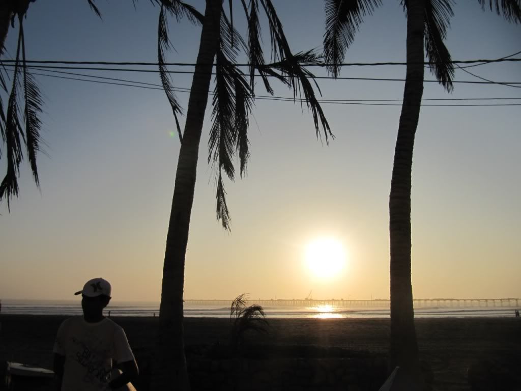 Gne Resimleri (1. Katalog)