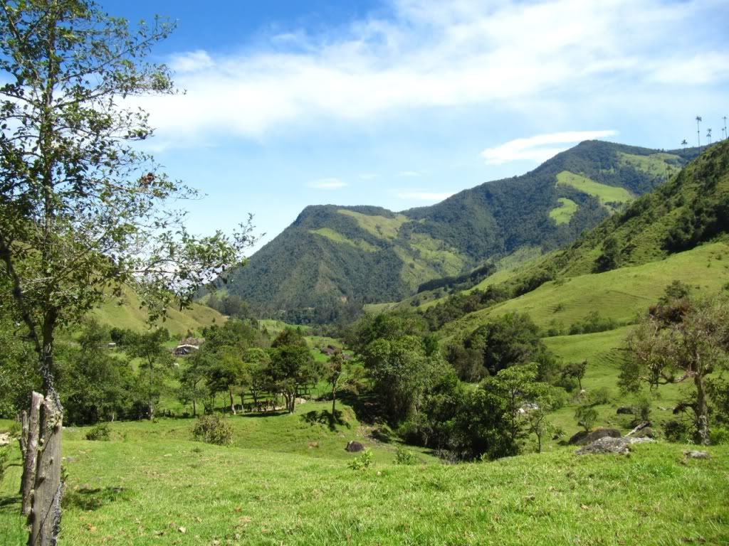 Doa ve Manzara Resimleri (5. Katalog)