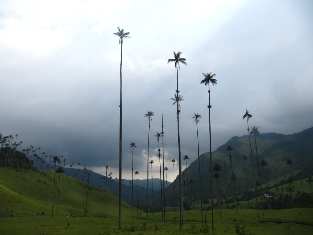 Bulut Resimleri (2. Katalog)