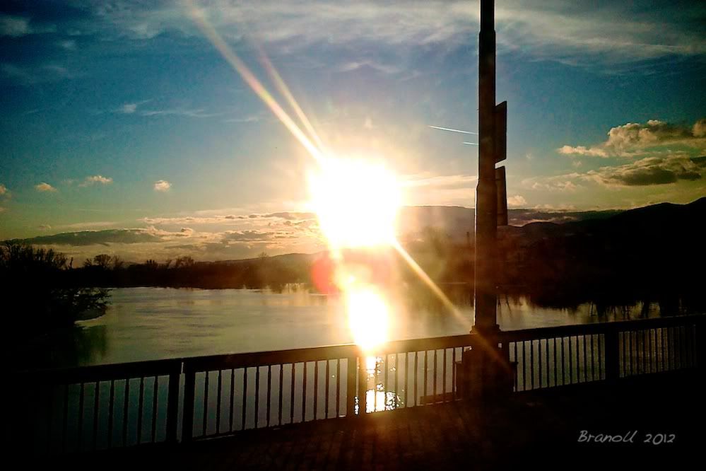 Gne Resimleri (1. Katalog)