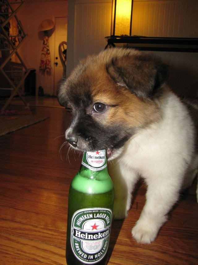 Nos tomamos una Heineken 1