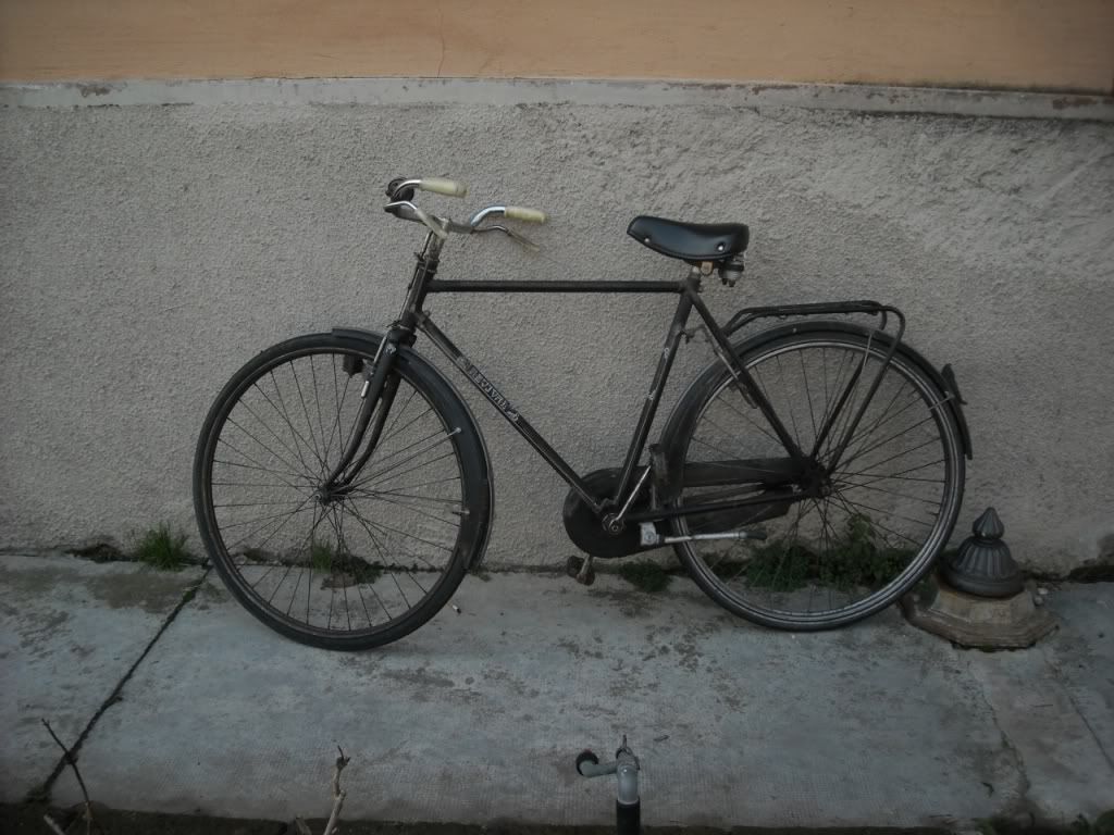 bicicletta1012011