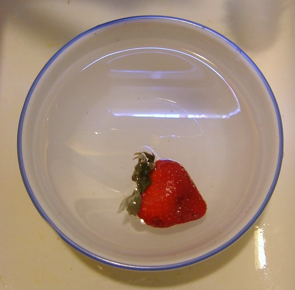 bowlwaterorganicstrawberry