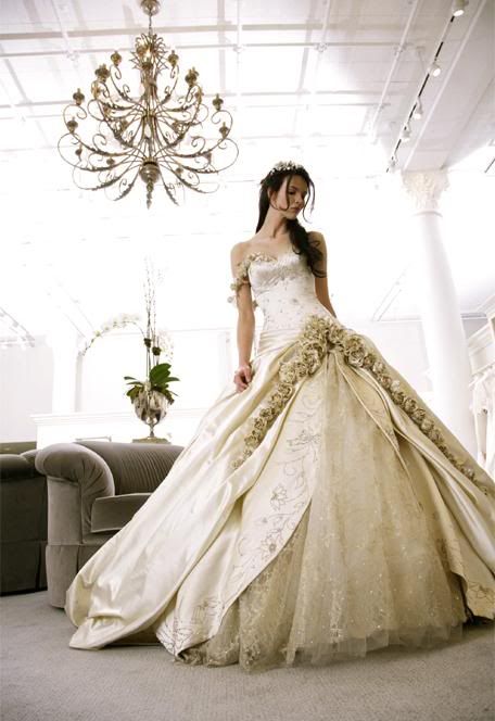 c49d10ce36e67dd5 fashion bridal gown