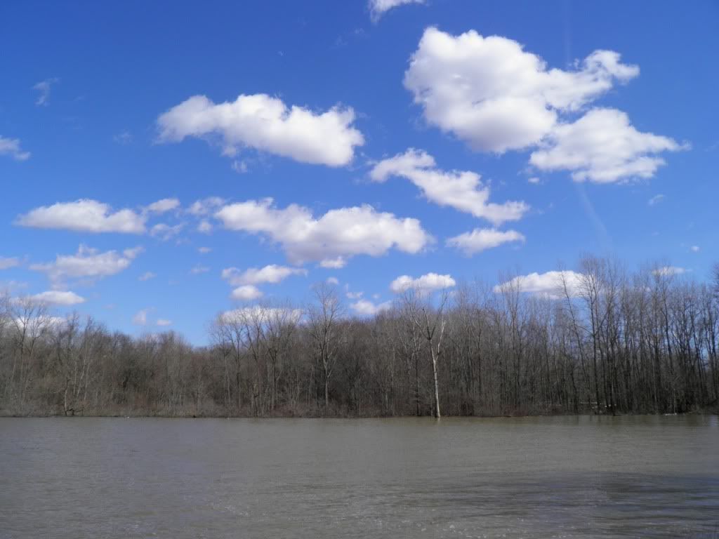 mudflats cloudy P3122811