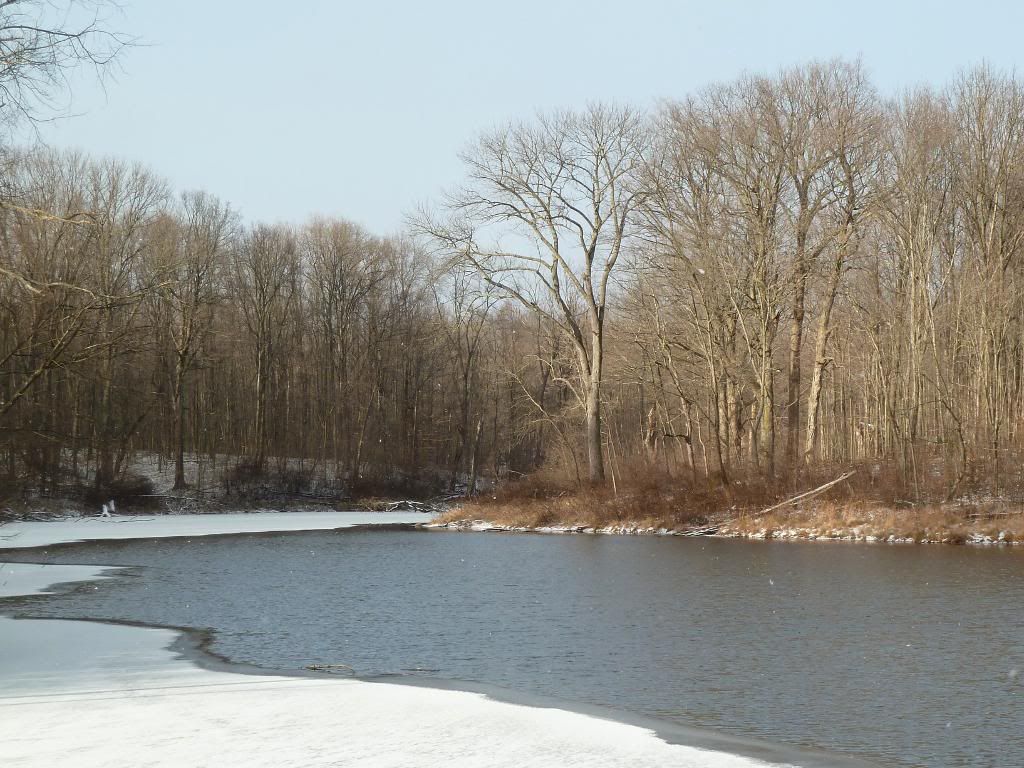 snt char mar pond P1010783