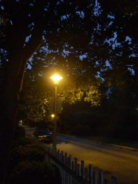streetlightsummernight