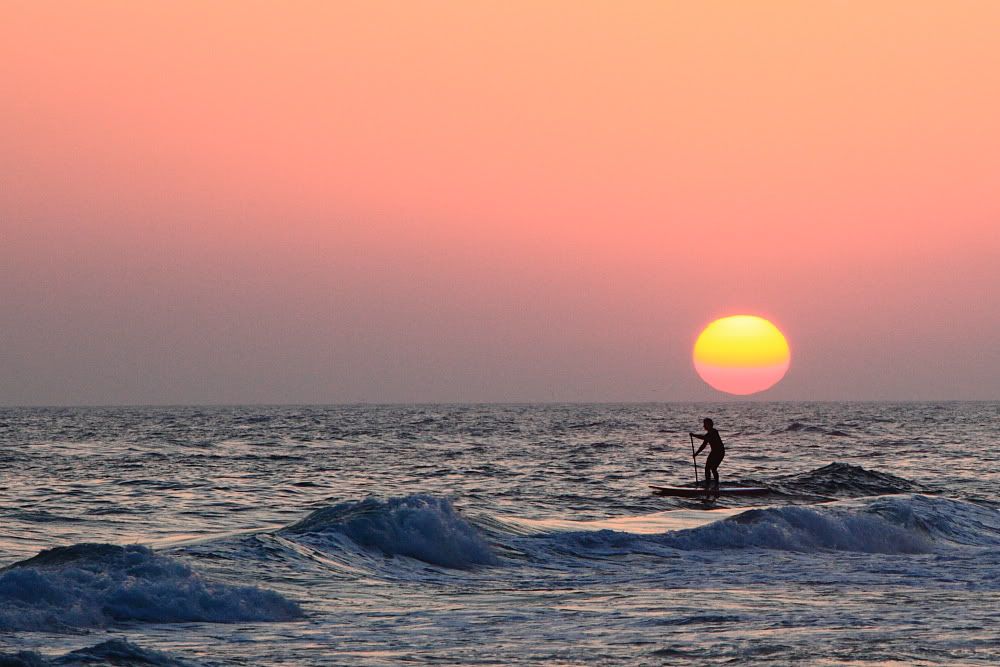 surfing