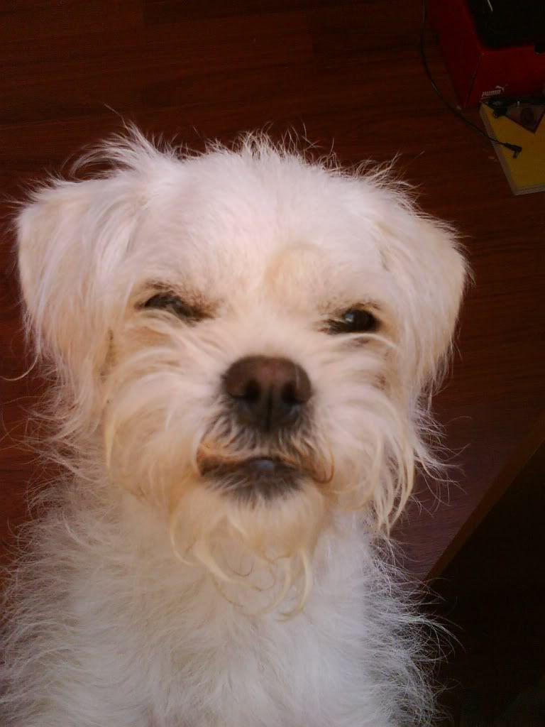 user 14450131 1248974347472