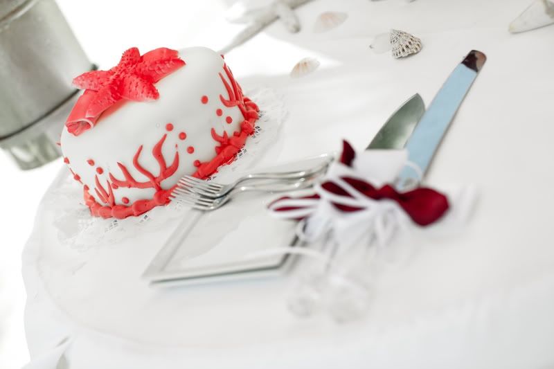 wwwFocusLifeDRcom 38