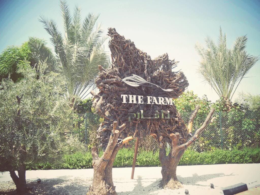 photo The-Farm-Dubai-jpg_effected_zps50d4a9cc.jpg