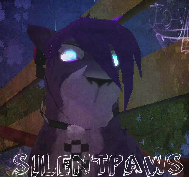 silentpaws Avatar