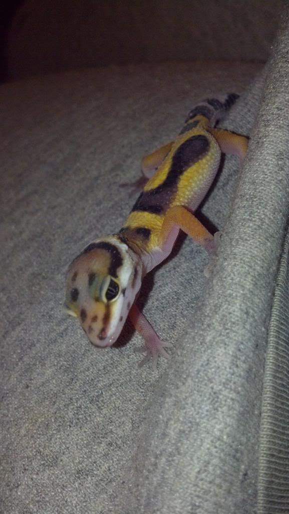 2012-11-25_21-14-42_224.jpg