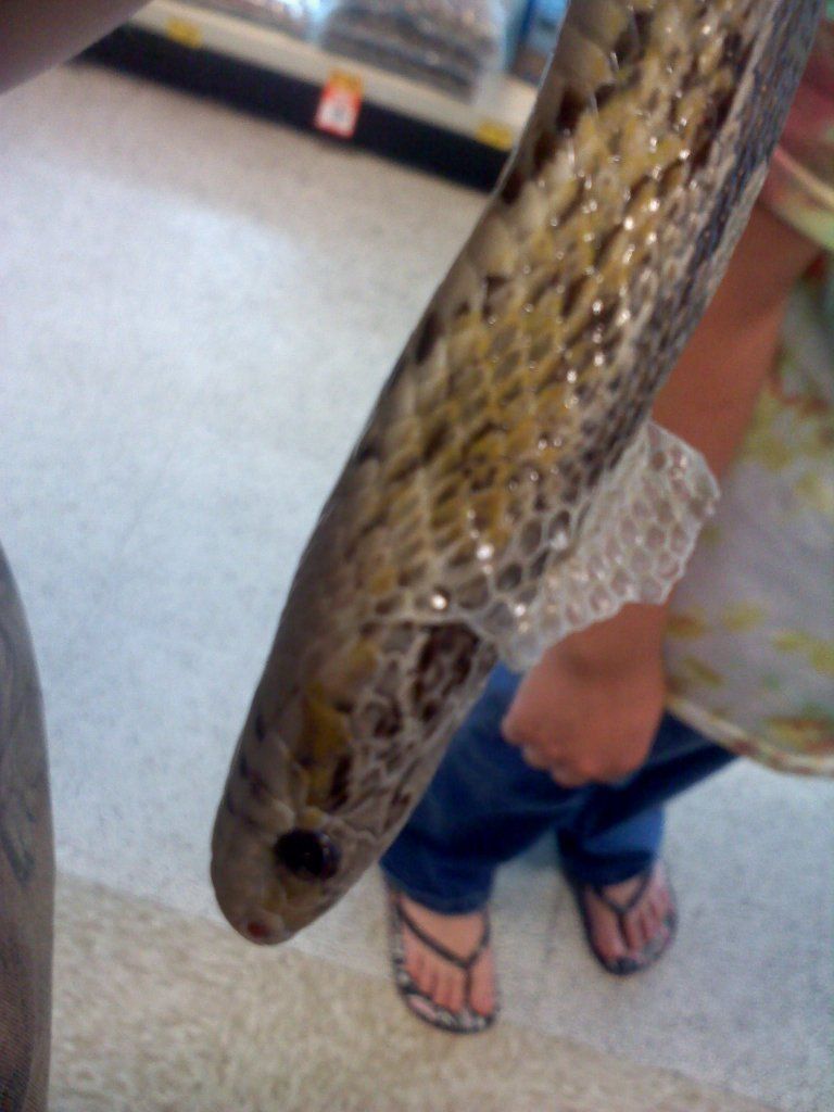 20120622195540.jpg