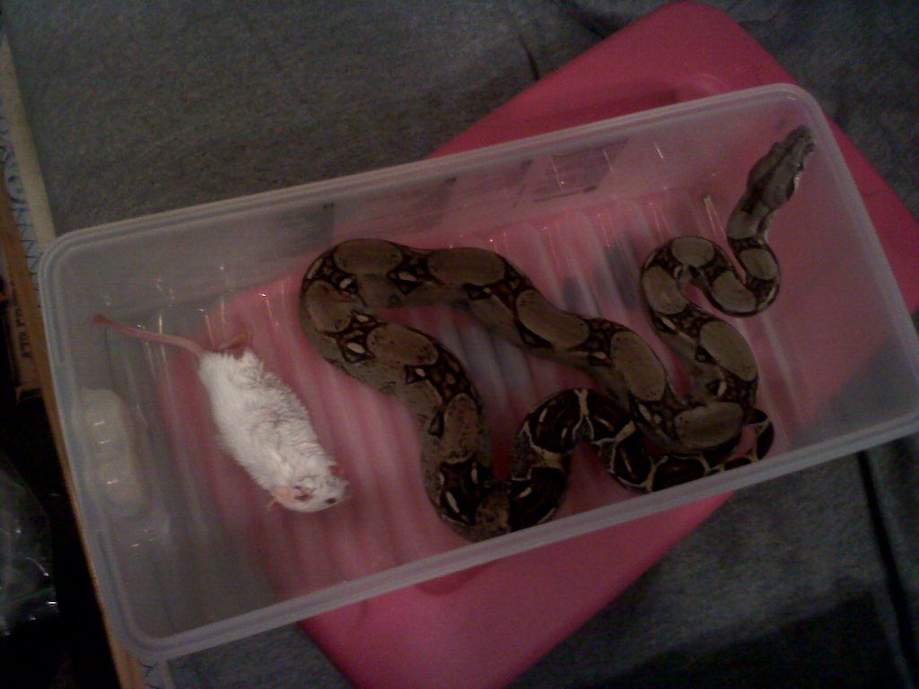 20120706200251.jpg