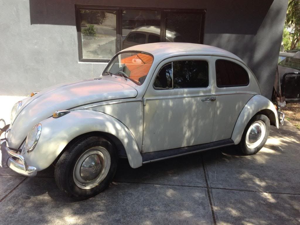 http://i1062.photobucket.com/albums/t500/M4CO_23/All/Beetle/8454_zpsf6cd1960.jpg~original http://i1062.photobucket.com/albums/t500/M4CO_23/All/Beetle/8454_zpsf6cd1960.jpg~original