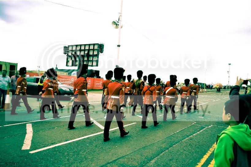 334151.jpg