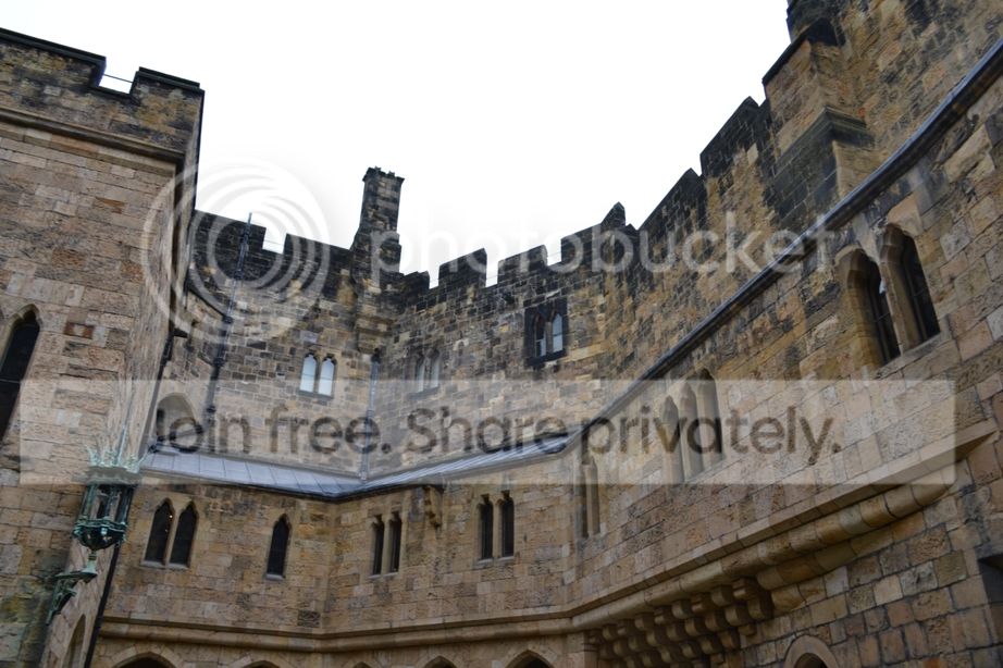 DSC_0684.jpg