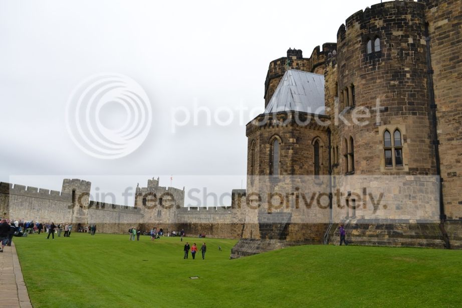 DSC_0696.jpg