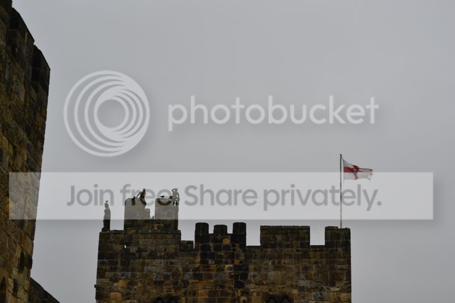DSC_0760.jpg