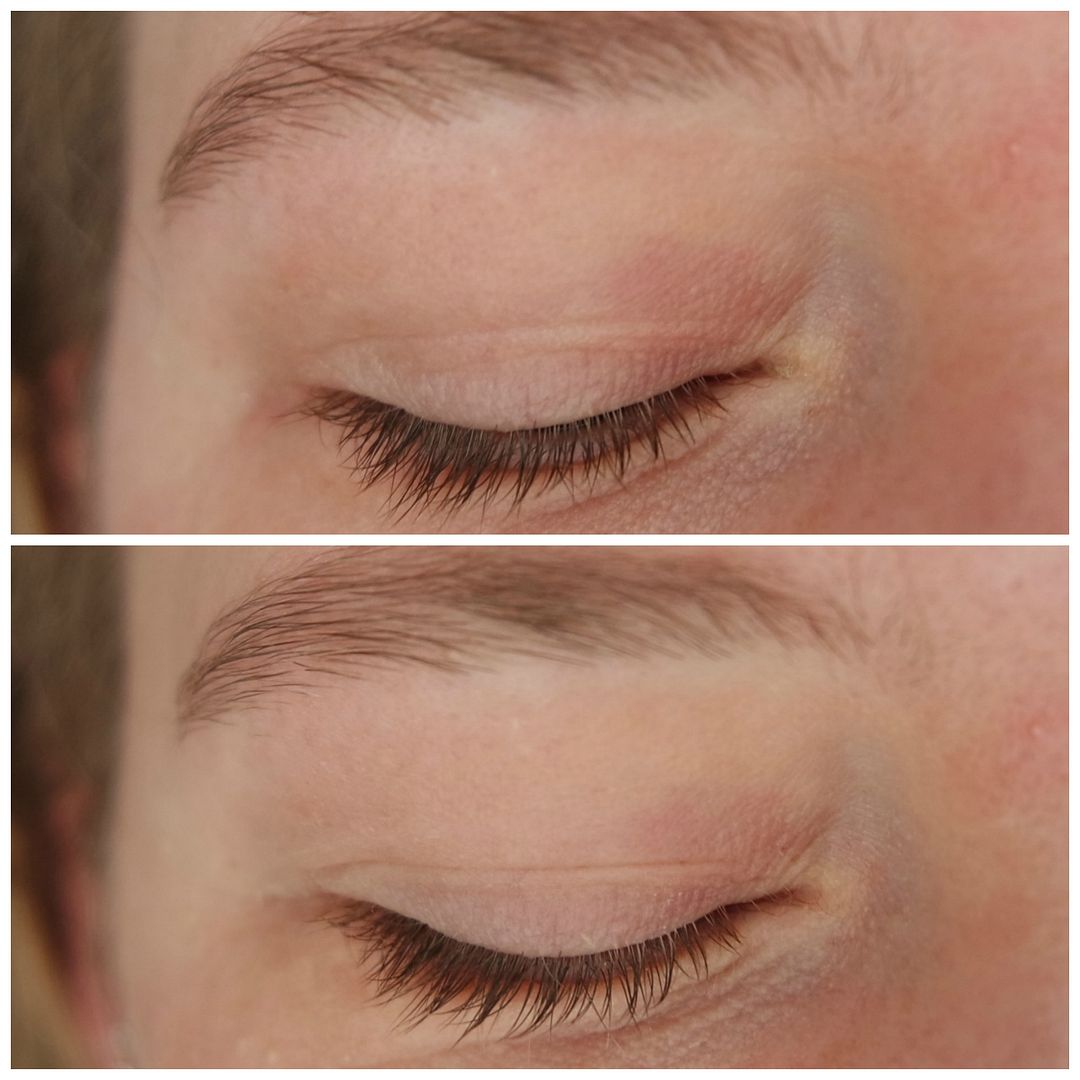 essence you better work eye primer review swatch eyeshadow