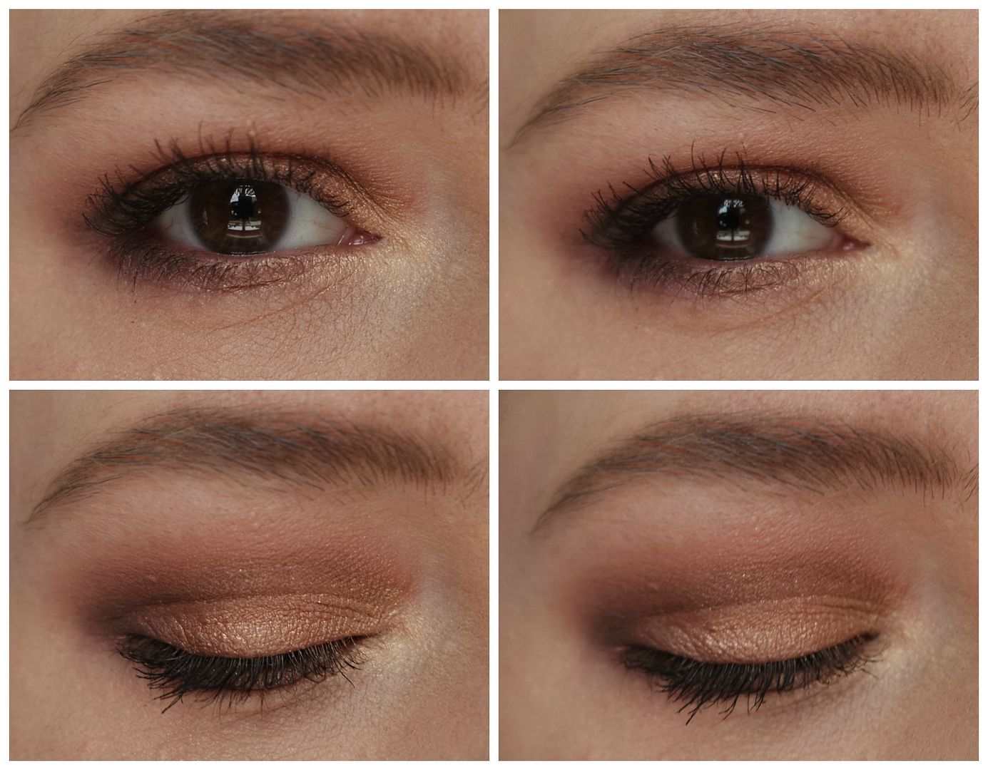 the balm nude dude eyeshadow palette review swatch