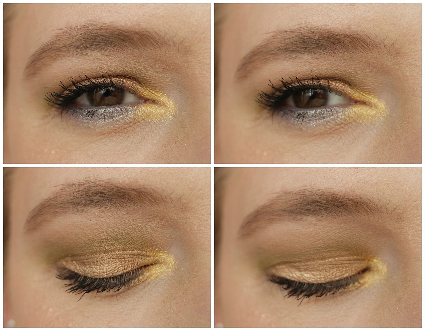 anastasia beverly hills eyeshadow palette review swatch makeup look