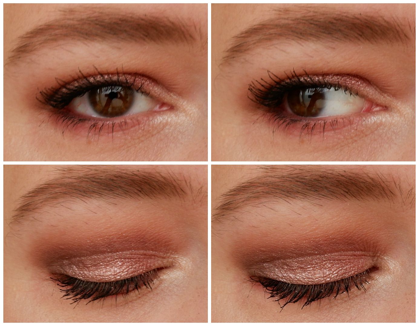 catrice pro next gen nudes eyeshadow palette review swatch looks catrice pro next gen nudes eyeshadow palette review swatch looks